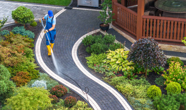Best Sidewalk Pressure Washing  in Tanaina, AK